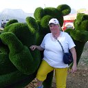  ,  , 52  -  11  2019   2019