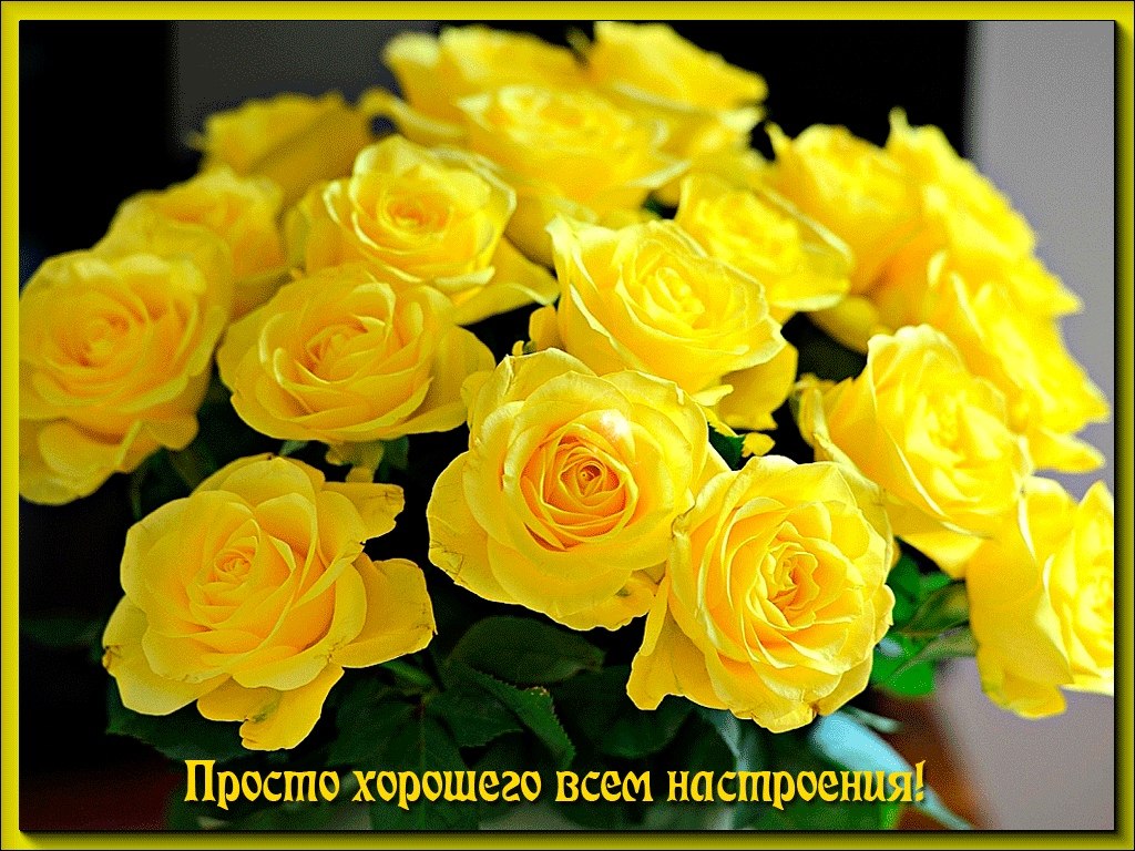   ,    . - 23  2019  17:45