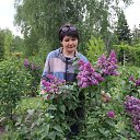  ,  , 53  -  16  2019    