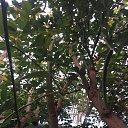 ���� ����, �����������, 50 ��� - ��������� 6 ������ 2019 � ������ ������������� ���