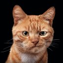 ���� �����, �����������, 47 ��� - ��������� 15 ���� 2019 � ������ ���� ����������