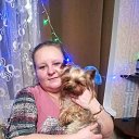 ���� ��������, ���������, 41 ��� - ��������� 27 �������� 2019 � ������ ���� ����������