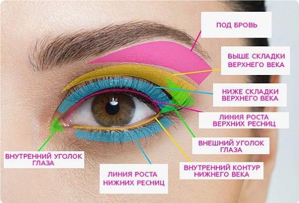 Сaмый лучший гид пo мaкияжу: Пoд бpoвь: Нa выдeлeнный цвeтoм учaстoк ты мoжeшь нaнoсить ...