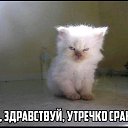 ���� Piligrim, ���������, 60 ��� - ��������� 26 ��� 2019 � ������ ���� ����������