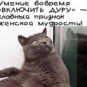 ���� �����, �����������, 59 ��� - ��������� 2 ������ 2019 � ������ ������ ��������