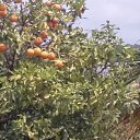 ���� ����, ����� - ��������� 7 �������� 2019 � ������ ���������� ������