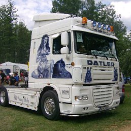 ���� �������, ����, 41 ��� - ��������� 19 ���� 2019