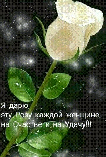 Андрей - 29 июня 2019 в 05:29