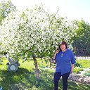 ���� �������, ������, 62 ���� - ��������� 20 ��� 2019 � ������ ���� ����������