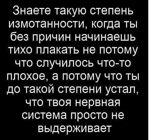 � ���� �����