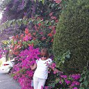 ���� �������, ��������� - ��������� 13 ������� 2019 � ������ ���� ����������
