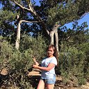 ������ 2019