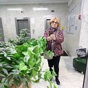 ���� �������, ������, 71 ��� - ��������� 10 ������ 2019 � ������ ���� ����������