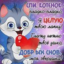 ���� �������, ��������, 47 ��� - ��������� 15 ���� 2019 � ������ ������ ��������