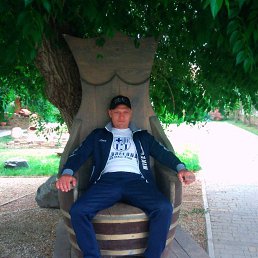 ������, ������������, 44 ����