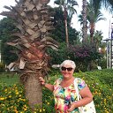 ���� �����, ��������, 68 ��� - ��������� 6 ������� 2019 � ������ ���� ����������