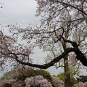 ���� ������� �, ������� - ��������� 9 ������ 2019 � ������ ���� ����������