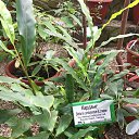 ���� ����, �����������, 50 ��� - ��������� 6 ������ 2019 � ������ ������������� ���