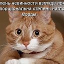 ���� ������, ����� - ��������� 27 �������� 2019 � ������ ���� ����������