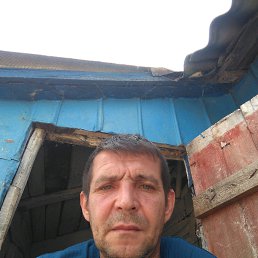 ����, ��������, 50 ���