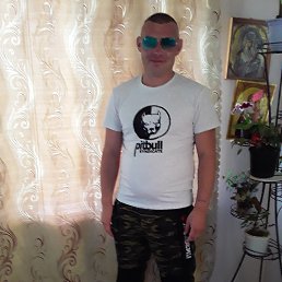 ���� ������, ��������, 41 ��� - ��������� 18 ��� 2019