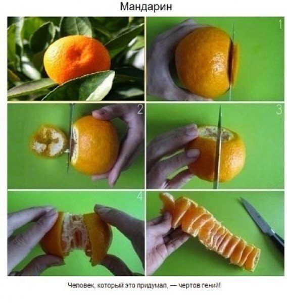 Продукты, которые мы неправильно резали всю свою жизнь.