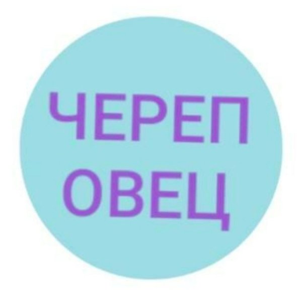 Санкт-Петербург обзавелся новым туристическим логотипом — это бирюзовый круг с крупным названием ... - 6