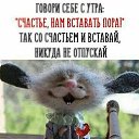 ���� ����, �����������, 62 ���� - ��������� 8 ������� 2019 � ������ ������ ��������