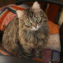  Andrew, , 49  -  9  2019   