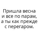 ���� ������, ������������, 37 ��� - ��������� 1 ���� 2019 � ������ ���� ����������