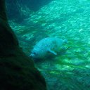 ���� Sandra, ������ - ��������� 6 ��� 2019 � ������ �������������