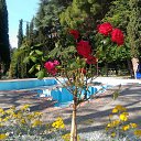 , ,12.06.19.8.50.    - 2019