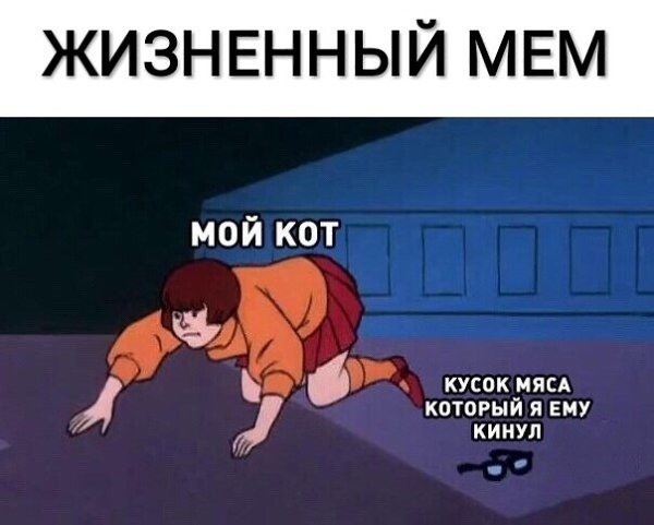    :D - 30  2019  03:25