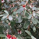 ���� ����, �����������, 50 ��� - ��������� 6 ������ 2019 � ������ ������������� ���