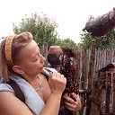 ���� ��������, �����-���������, 53 ���� - ��������� 14 ��� 2019 � ������ ���� ����������