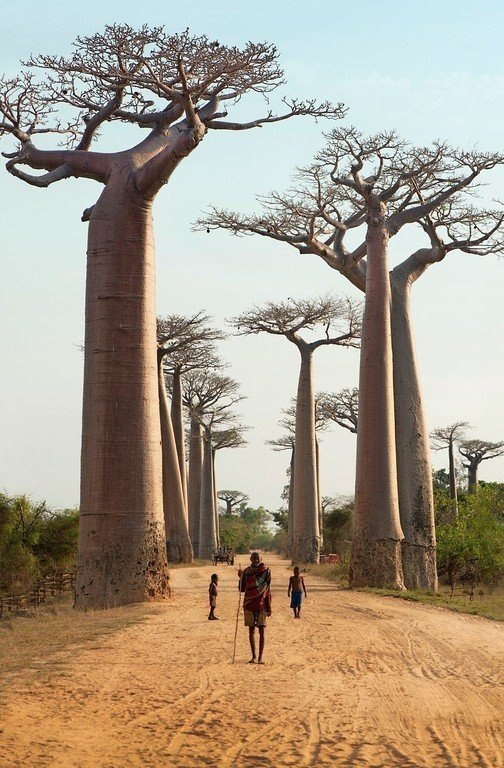 Madagascar