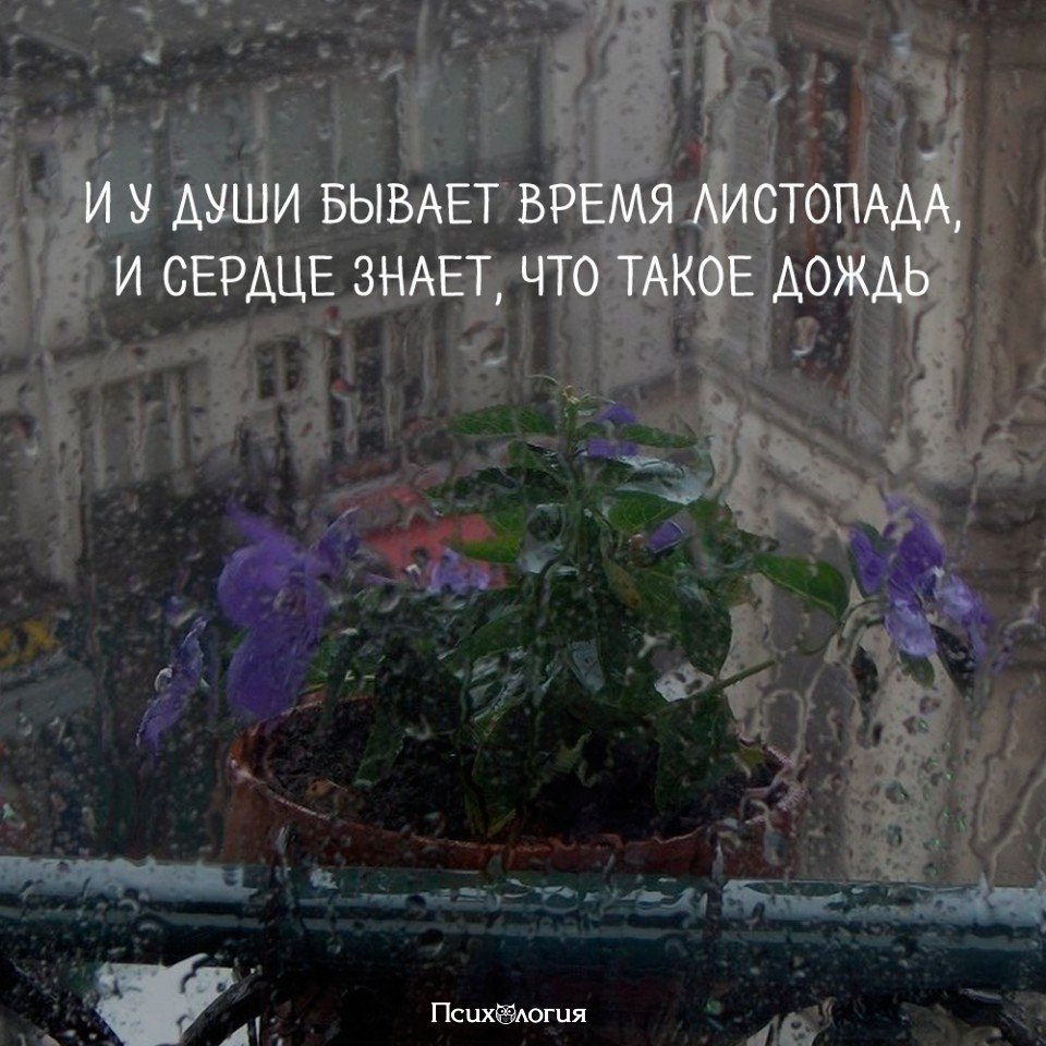  - 8  2019  03:34