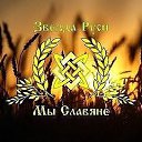  ,  , 51  -  13  2019    