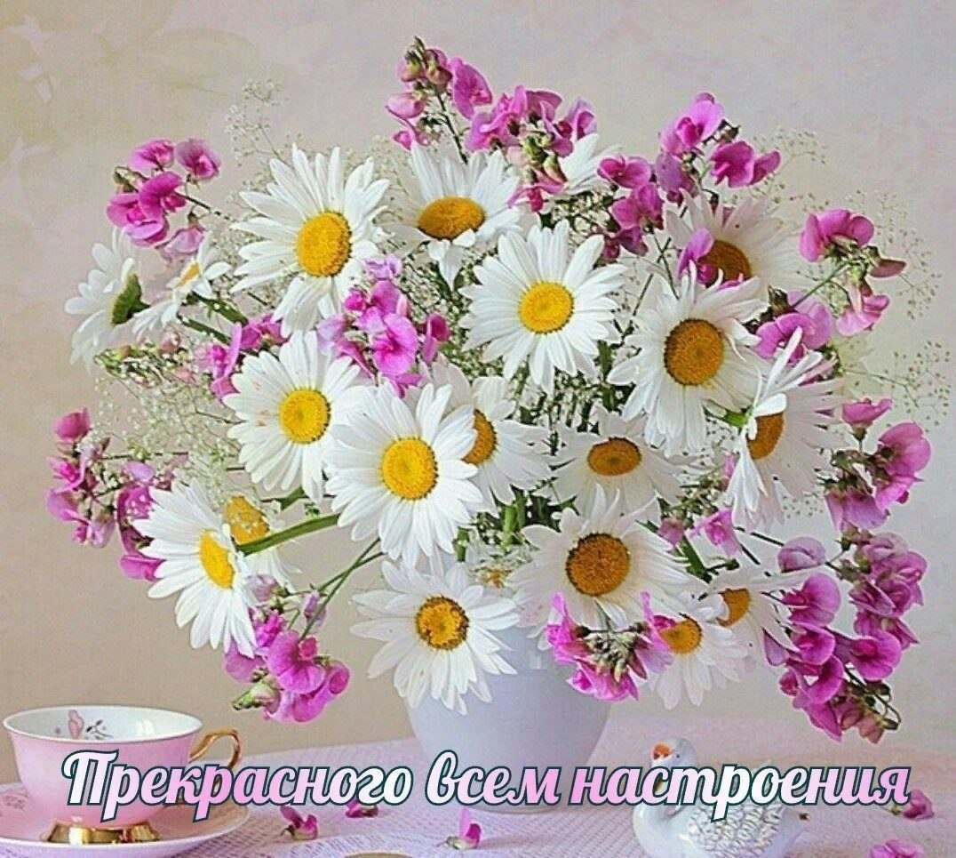   ,    . - 3  2019  13:33