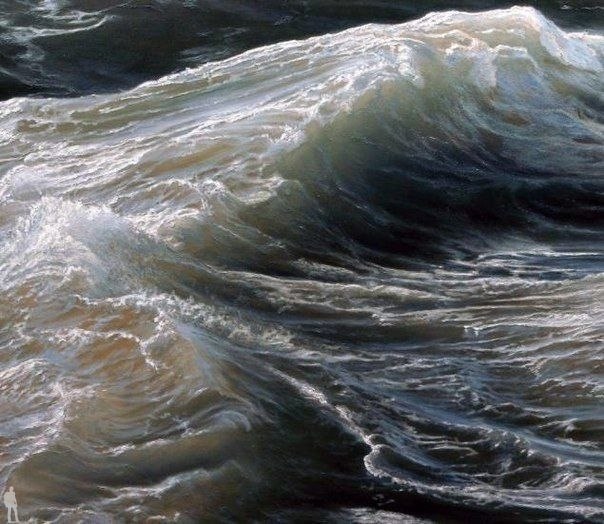 Ran Ortner ( )     .