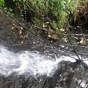 ���� �������, �����-���������, 36 ��� - ��������� 22 �������� 2019 � ������ ���� ����������