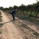 ���� Oleg, ������, 53 ���� - ��������� 2 ������ 2019
