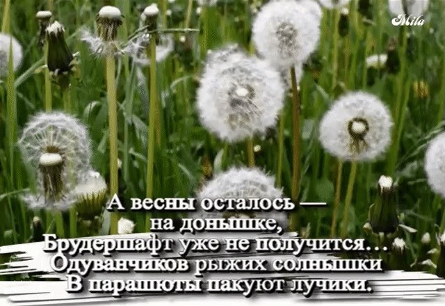   ,    . - 25  2019  09:39