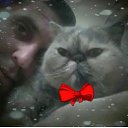 ���� ��������, ���������, 42 ���� - ��������� 24 ��� 2019 � ������ ���� ����������