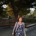 ���� � �������� �� ������� ��������
