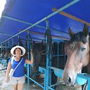 ������� ������ �� ������� ���� ����� ������