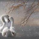 ���� **N**, ������� - ��������� 25 ������� 2019 � ������ ������ ��������