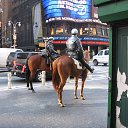 ���� ��������, �����, 59 ��� - ��������� 9 ������ 2019 � ������ ���� ����������