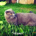 ���� �������, ������ - ��������� 8 ������� 2019 � ������ ���� ��������