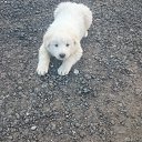 ��� � ��������� ����� ������...��� �� �������� ���� �� ������ ����